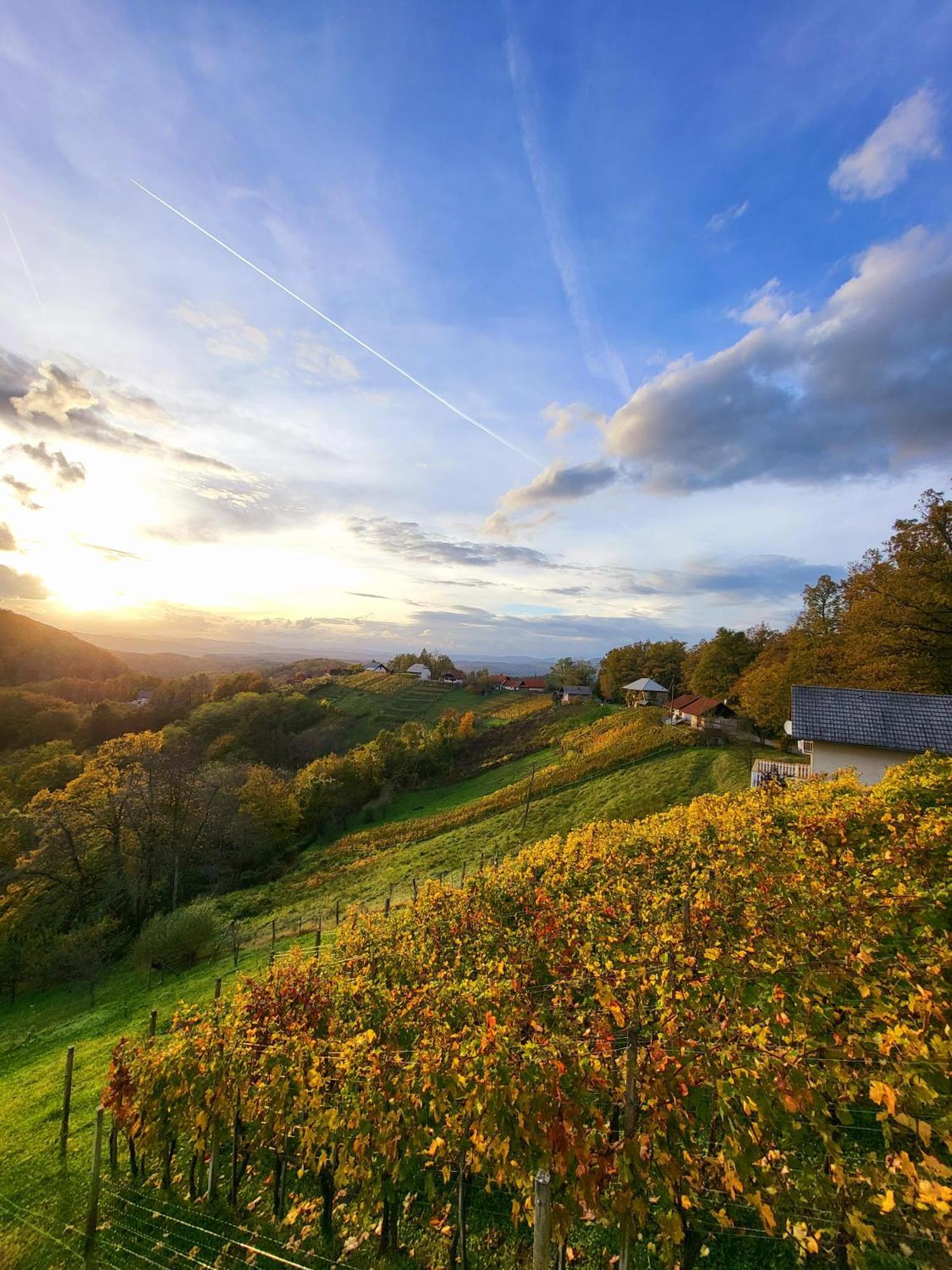 Vineyard Cottage Sončni grič Trebnje Esterno foto