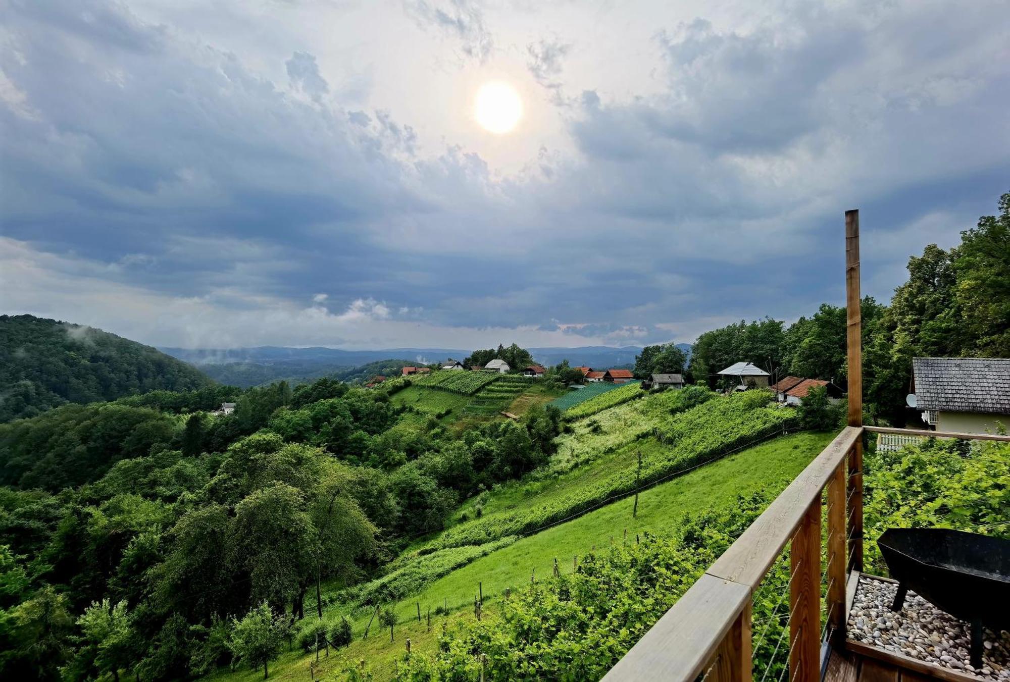 Vineyard Cottage Sončni grič Trebnje Esterno foto