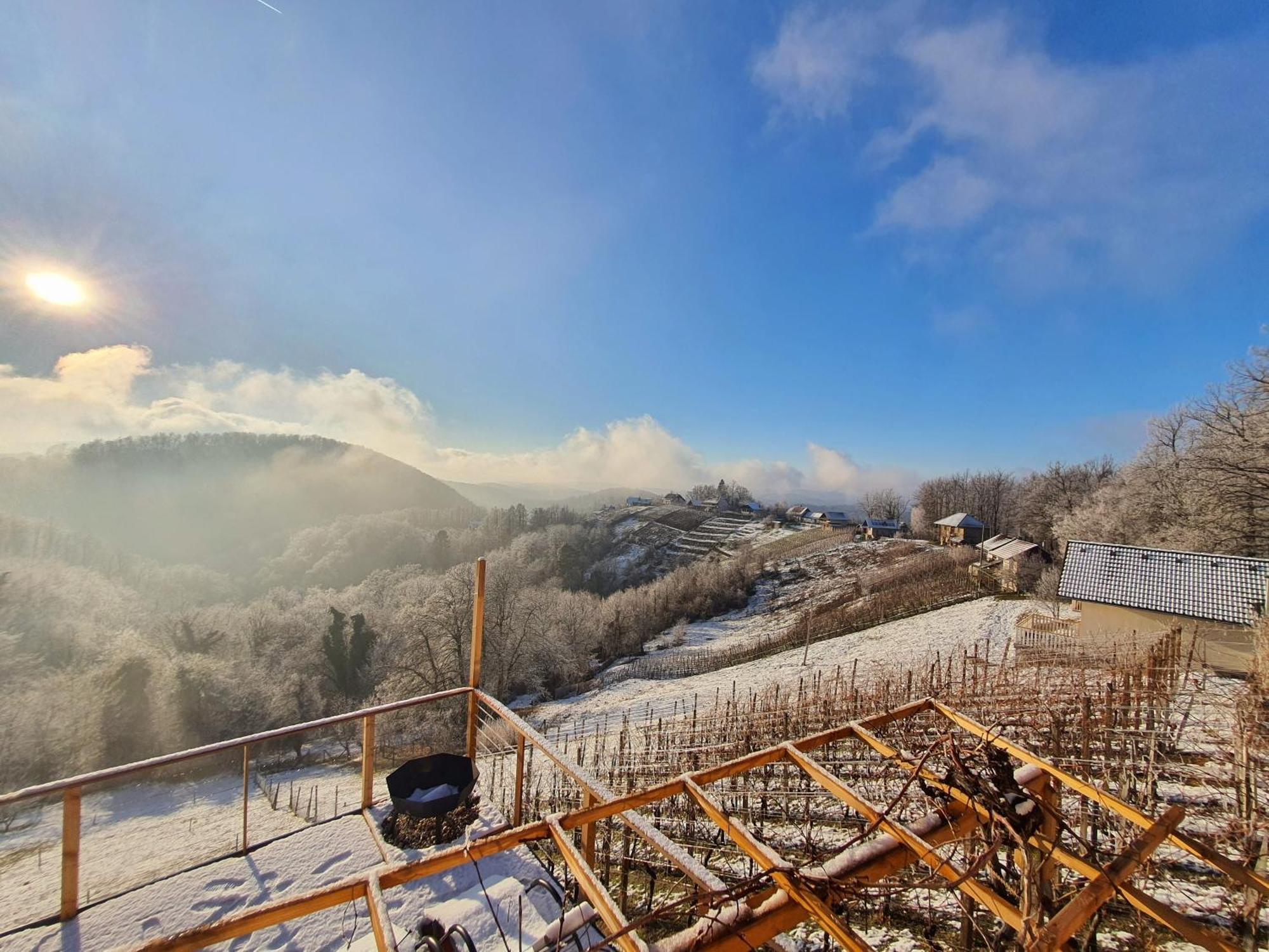 Vineyard Cottage Sončni grič Trebnje Esterno foto