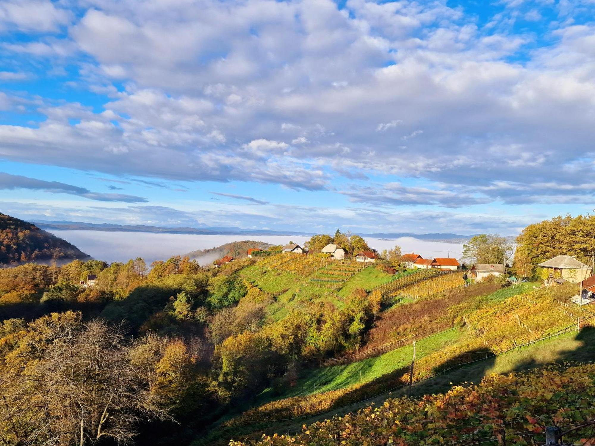 Vineyard Cottage Sončni grič Trebnje Esterno foto