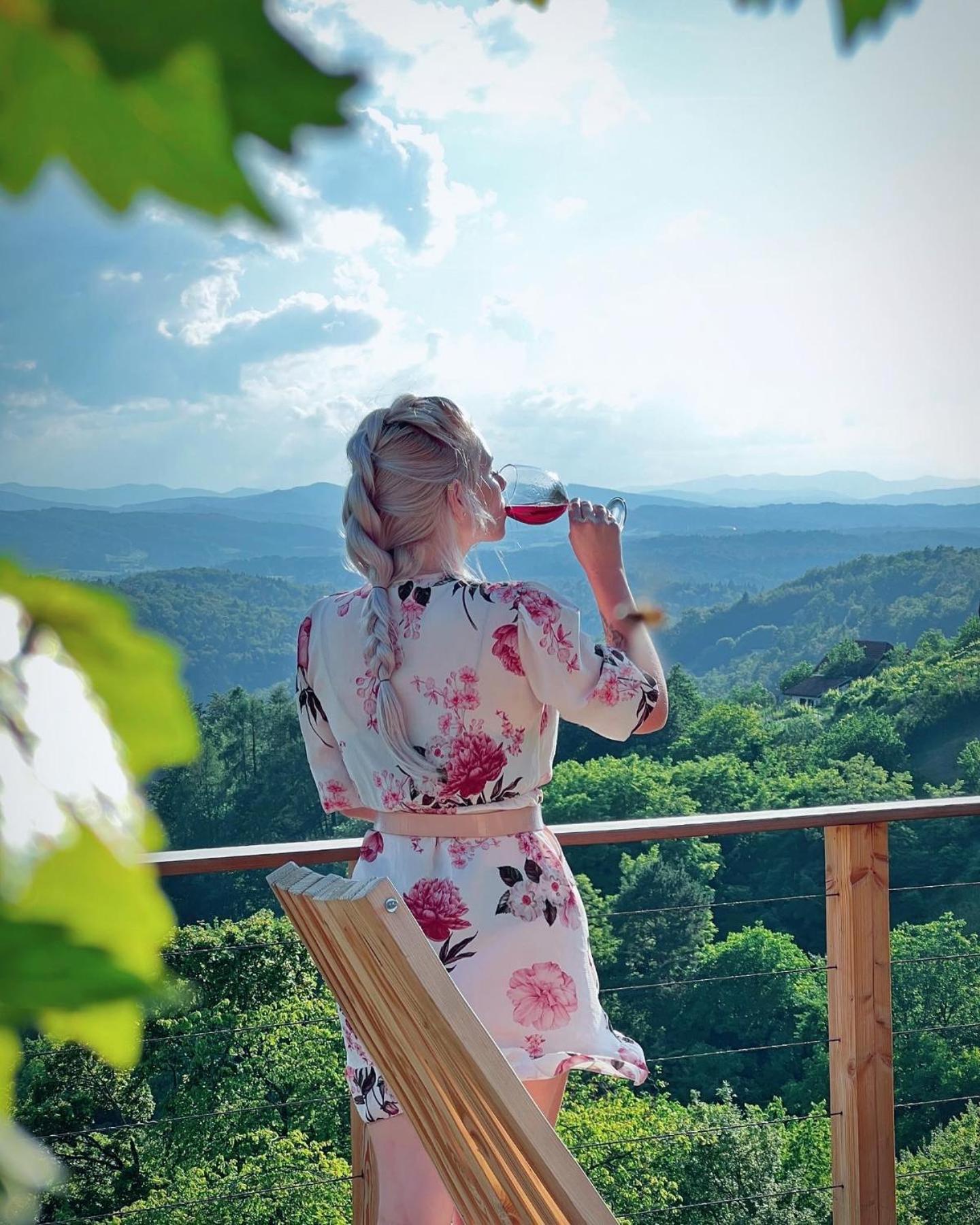 Vineyard Cottage Sončni grič Trebnje Esterno foto